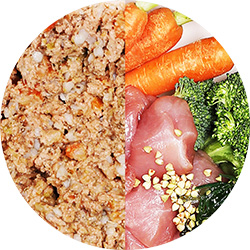 Ciotola per alimenti riempita con cibo umido e contenuto di pollo, broccoli e carote.