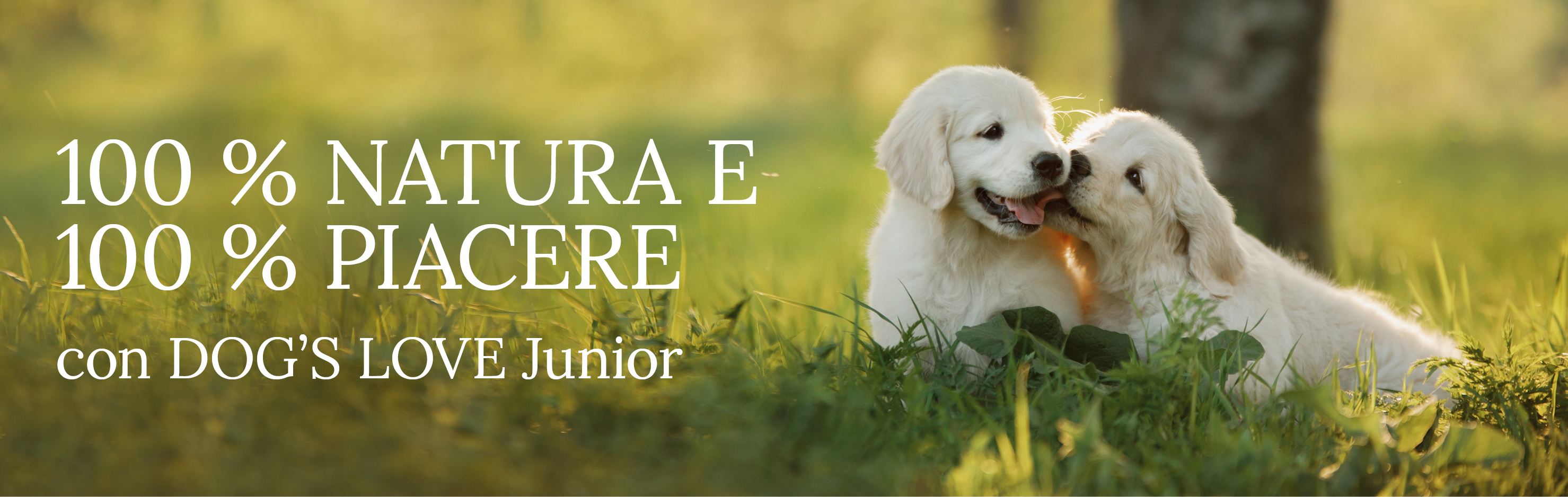 Cuccioli in un prato con testo: 100% natura & 100% divertimento con DOG'S LOVE Junior