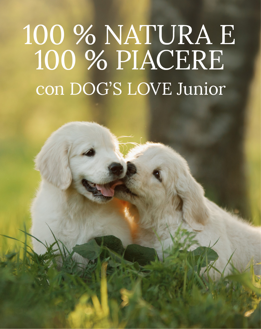 Cuccioli in un prato con testo: 100% natura & 100% divertimento con DOG'S LOVE Junior