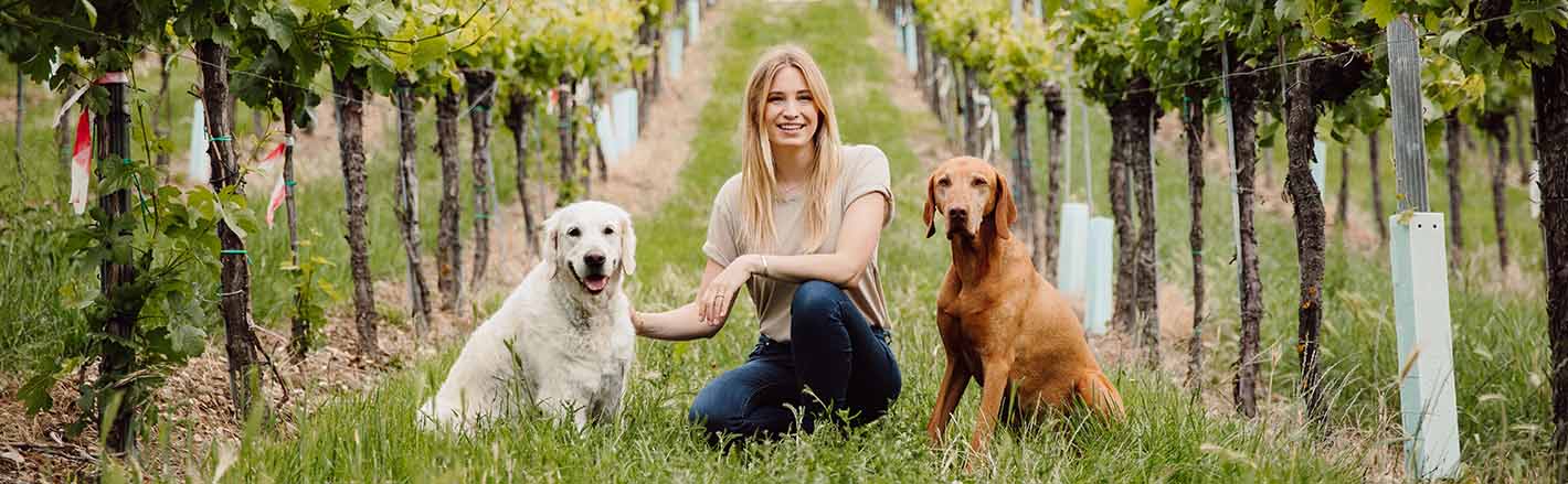 Katharina Miklauz tra le vigne con i cani di famiglia Nala e Pluto
