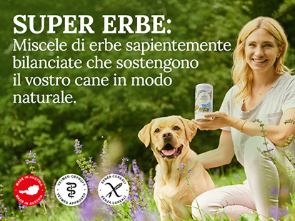 Herbs Hundefutter Header