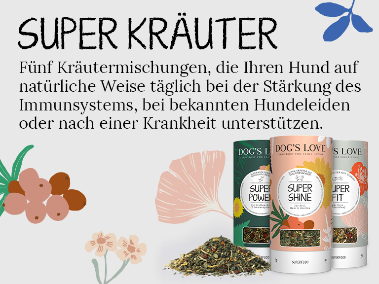 Kräuter Hundefutter Header